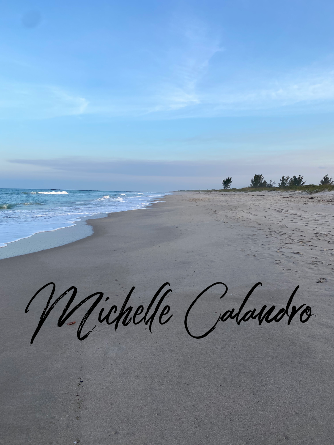 Appointments Michelle Calandro LLC